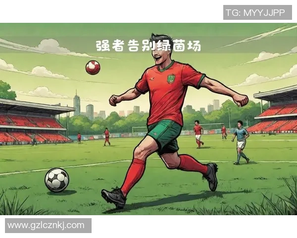 足球12号球星：从绿茵场的闪耀到传奇生涯的背后故事